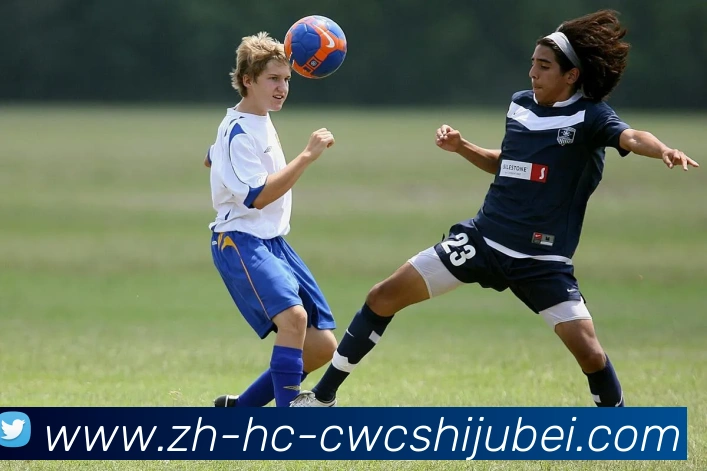 多媒体互动体验