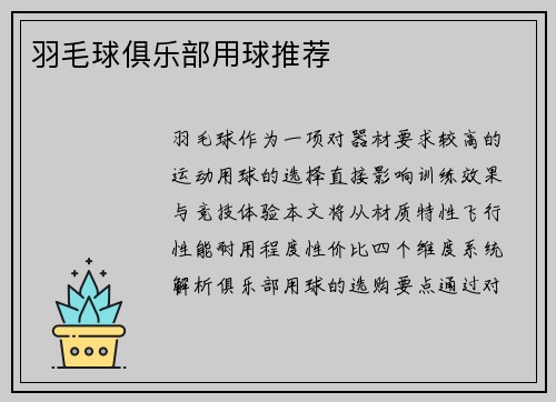 羽毛球俱乐部用球推荐